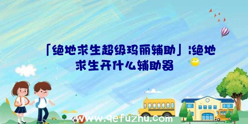 「绝地求生超级玛丽辅助」|绝地求生开什么辅助器